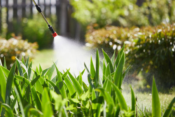 Tamper-Resistant Bait Stations for Rodents in Ottumwa