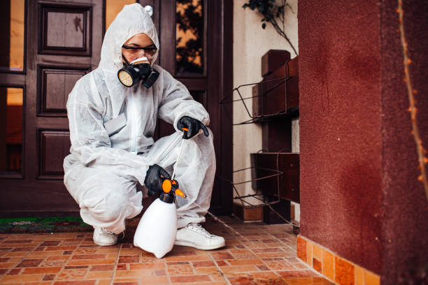 Attic and Crawl Space Rodent Treatment in Ottumwa