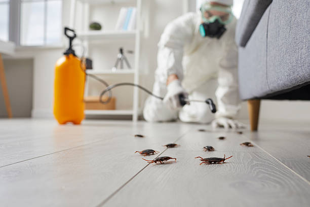 Commercial Rodent Management in Ottumwa